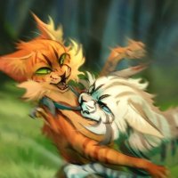 Ролевая по котам воителям  LOSAKO