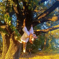 ╶⃝⃤Домик квд/терианов╶⃝⃤