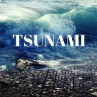 ꧁𓊈𒆜ТЅUNΑМΙ𒆜𓊉꧂