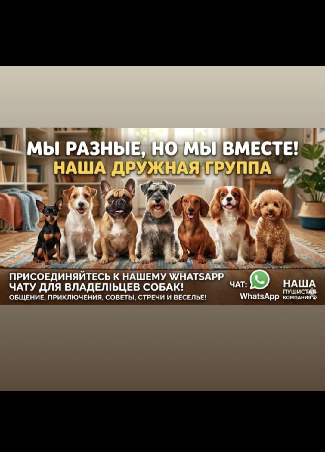 Dog Астана