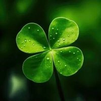 🍀Лови удачу🍀