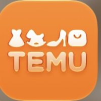 Temu hot deals