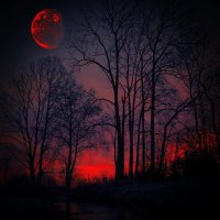 🌑НоЧь🌑 🔥СтРаСтИ🔥