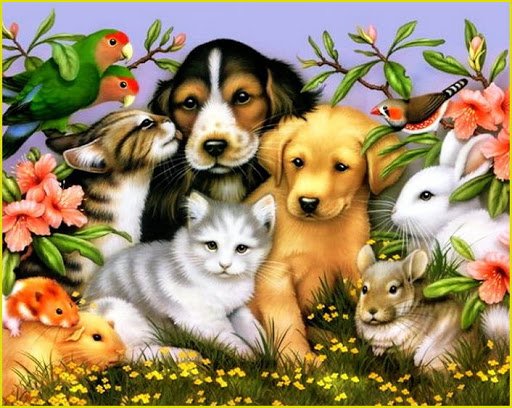 ꧁🐈 𝕄𝕆И ЖИ𝔹𝕆𝕋ℍЬ𝕝𝔼 🐕꧂