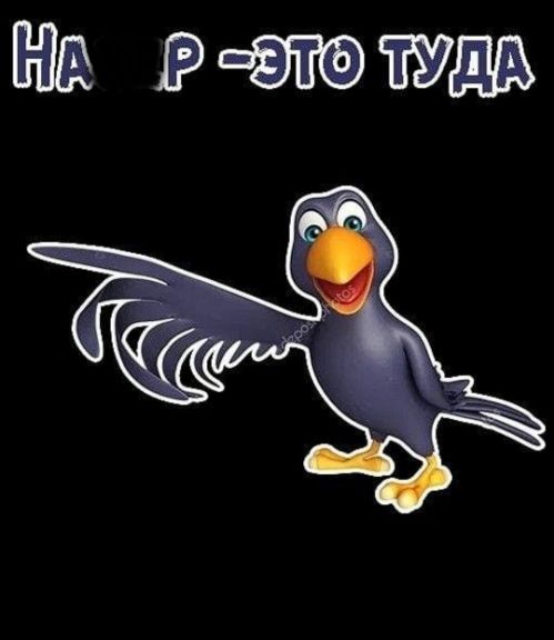 🥳Избушка @панутых🤪