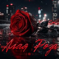 🌹Ал🌹Ая🌹   🌹Ро🌹За🌹