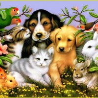 ꧁🐈 𝕄𝕆И ЖИ𝔹𝕆𝕋ℍЬ𝕝𝔼 🐕꧂