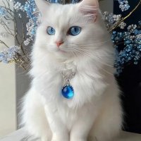 СТИКЕРНЫЙ КОКТЕЙЛЬ